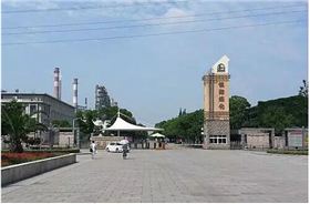 鎮海煉化