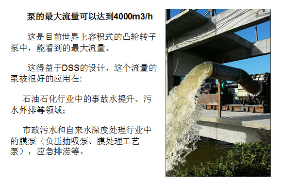 羅德凸輪轉子泵大流量