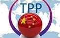 中國石油化工企業難得的歷史機遇來了